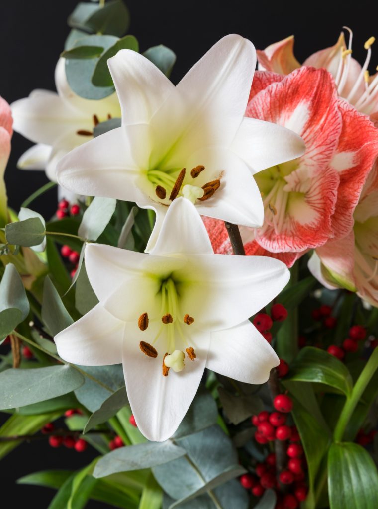 bouquet lily and amaryllis flowers