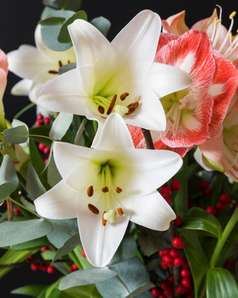 bouquet lily and amaryllis flowers