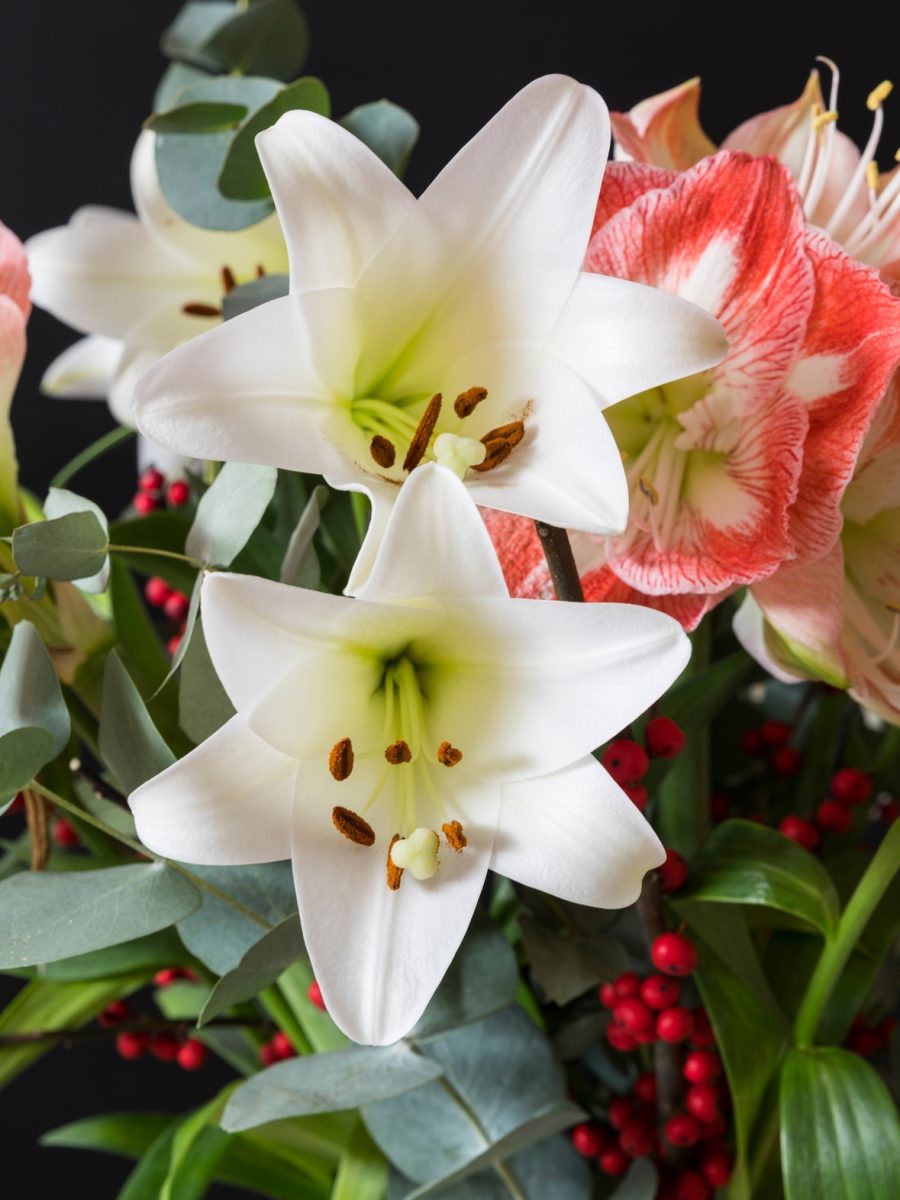 bouquet lily and amaryllis flowers
